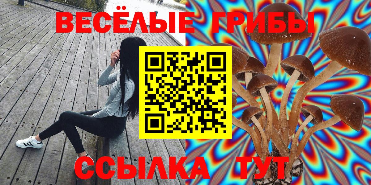 Подольск  Галлюциногенные грибы мицелий  Вход с VPN  Галлюциногенные грибы мухоморы 